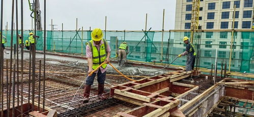 喜讯 贵港孵化基地项目首栋厂房主体结构封顶